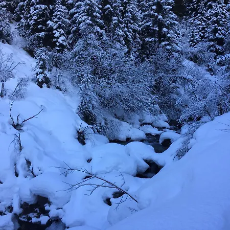 شقة Fender لانغنفلد