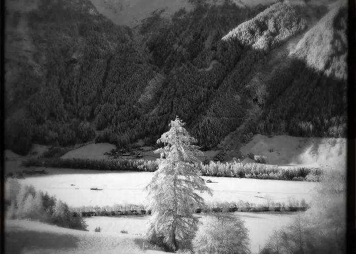 Fender * لانغنفلد