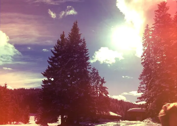 Fender * لانغنفلد