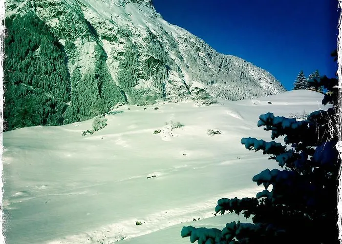 Fender شقة لانغنفلد