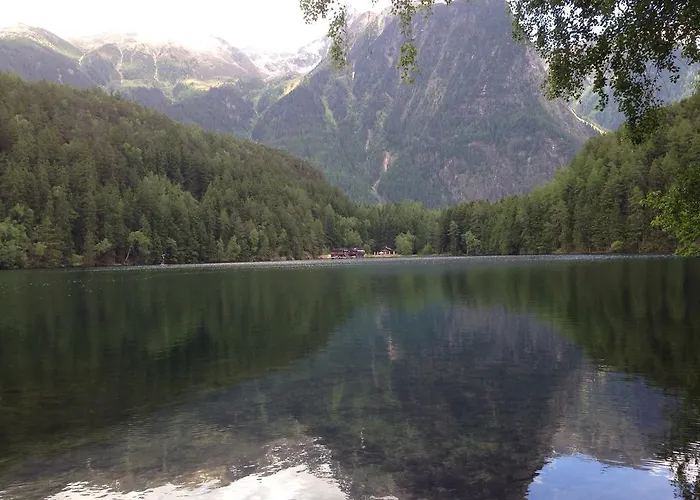 Fender لانغنفلد