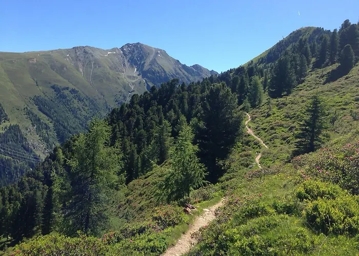 شقة Fender لانغنفلد