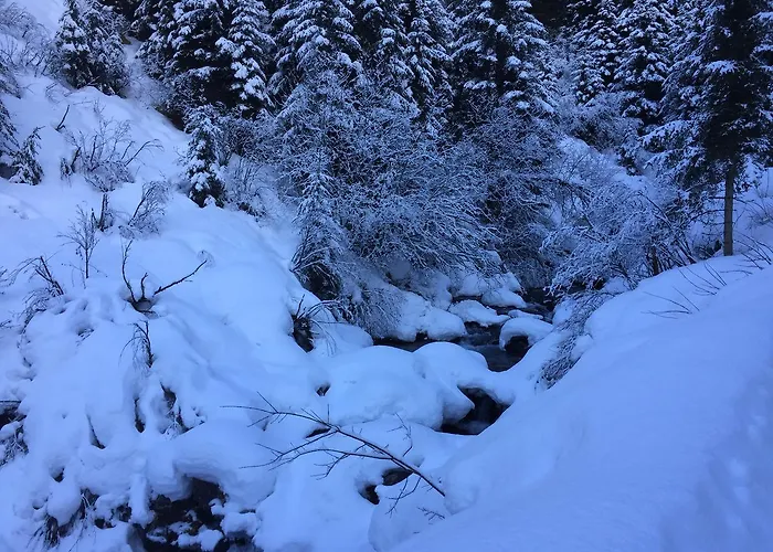 شقة Fender لانغنفلد