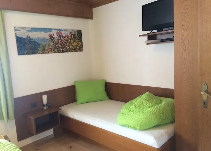 Fender شقة لانغنفلد